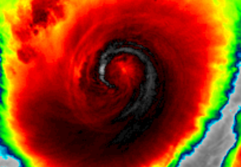 Dakota Smith tweet media