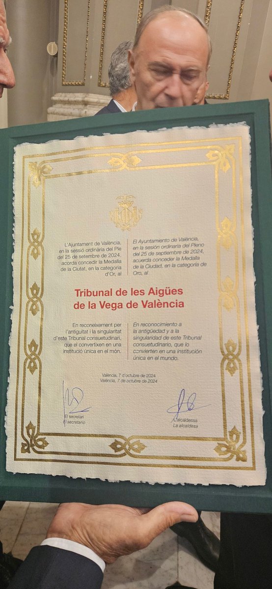 El Tribunal ha recibido la medalla de Oro de la ciudad de Valencia. El presidente, Francisco Almenar, recoge la distinción de manos de la alcaldesa, María José Catala, en el acto de entrega de honores y distinciones de la ciudad 2024 en el Hemiciclo del Ayuntamiento.Día memorable