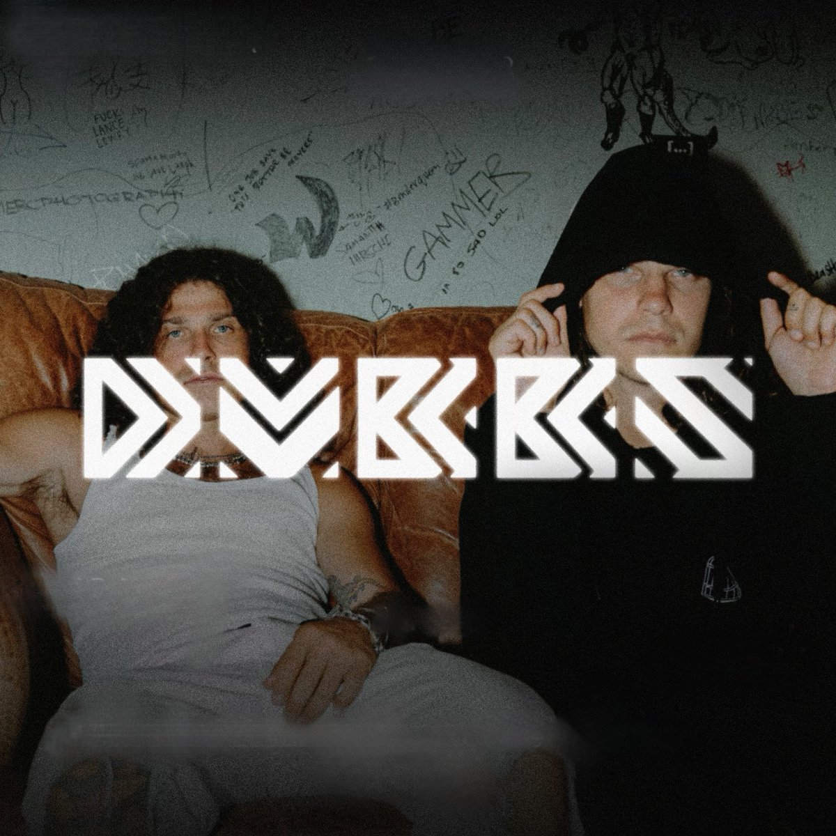 DVBBS tweet media