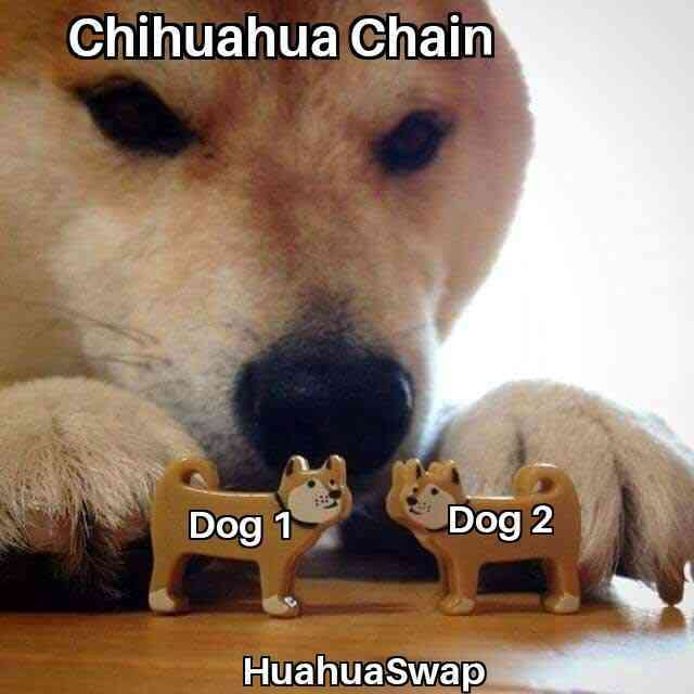 Chihuahua ($HUAHUA) tweet media