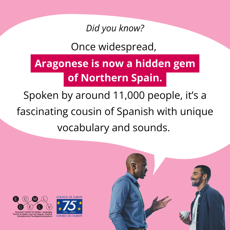 coe's tweet photo. 🗣Here are some interesting facts about the world of languages 🤔
We hope you have enjoyed delving into the world of languages through the lens of the #CouncilOfEurope.
Learn more about our work with languages👇
#LanguageMonth #Multilingual @CoE_Education