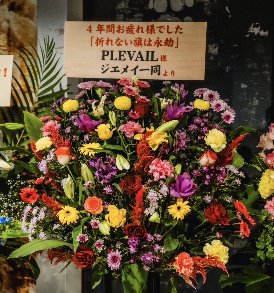 PLEVAIL【Official】 (@_plevail_) on Twitter photo 