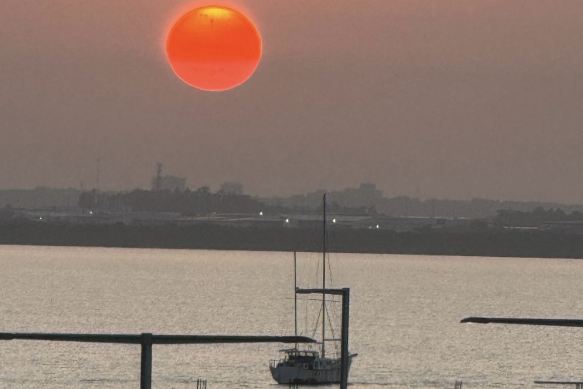 Spiderbait tweet media