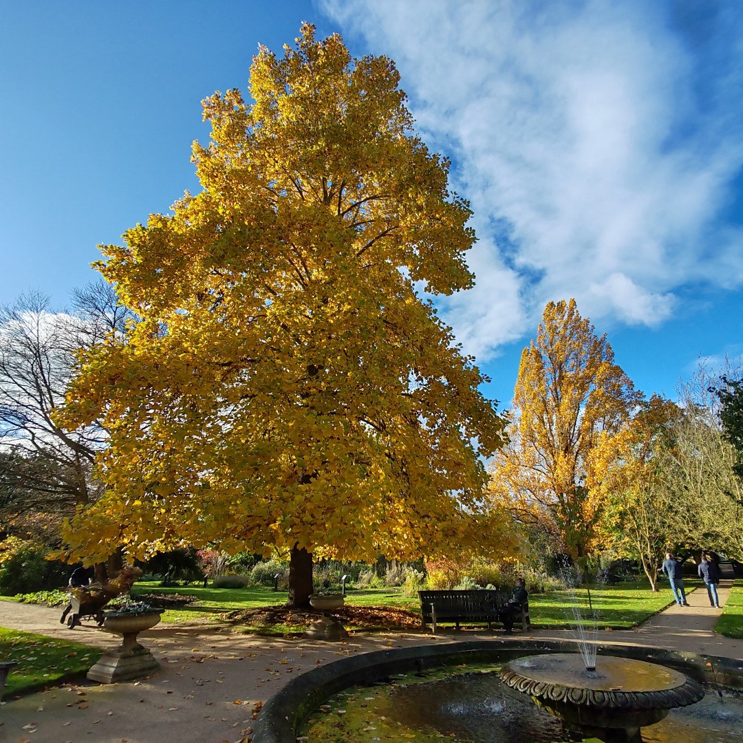 Join us at Oxford Botanic Garden today, Tuesday 8 October, and every Tuesday until 26 November, for a 20-minute tour to boost your wellbeing and connect with nature. 

📅 12:30 - meet by the Danby Arch
🎟️ No need to book - entry included with your Garden ticket.