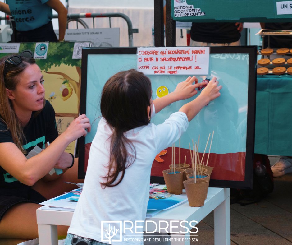 Redress Project tweet media