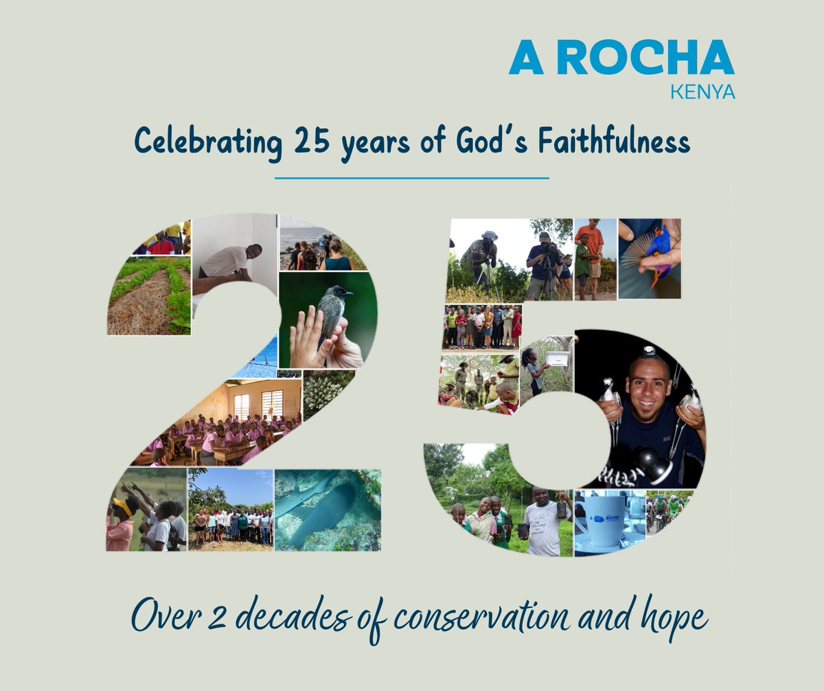 This month, as we gear towards celebrating our Silver Jubilee (25 years of A Rocha Kenya), we will be looking back at some of the milestones we have accomplished together. 
#conservation #SilverJubilee #silverjubileeanniversary #celebration #watamu #WatamuKenya