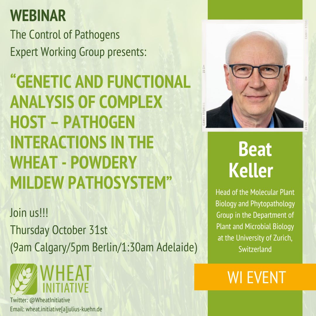 We are delighted that our Expert Working Group on #Wheat Pathogens has their next #webinar:  “Genetic and functional analysis of complex host – pathogen interactions in the wheat - powdery mildew pathosystem” by BEAT KELLER 👇 
wheatinitiative.org/new-events/bea…
<a href="/karchuntan/">KC 👨‍🔬🌾🍄🇦🇺</a>
<a href="/ReemWheat/">Reem Aboukhaddour</a>