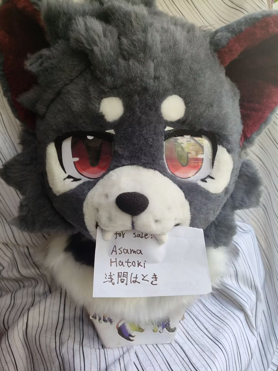 sell on behalf
Sell this kemono fursuit head premade I made.Species is Tasmanian devil.foam headbase with lining.Head size 59cm,height 26cm.price 550$+shipping.I hope you can adopt her if you're interested.
maker:asamahatoki
#furry #fursuit #kemono #fursuitforsale #furryartwork