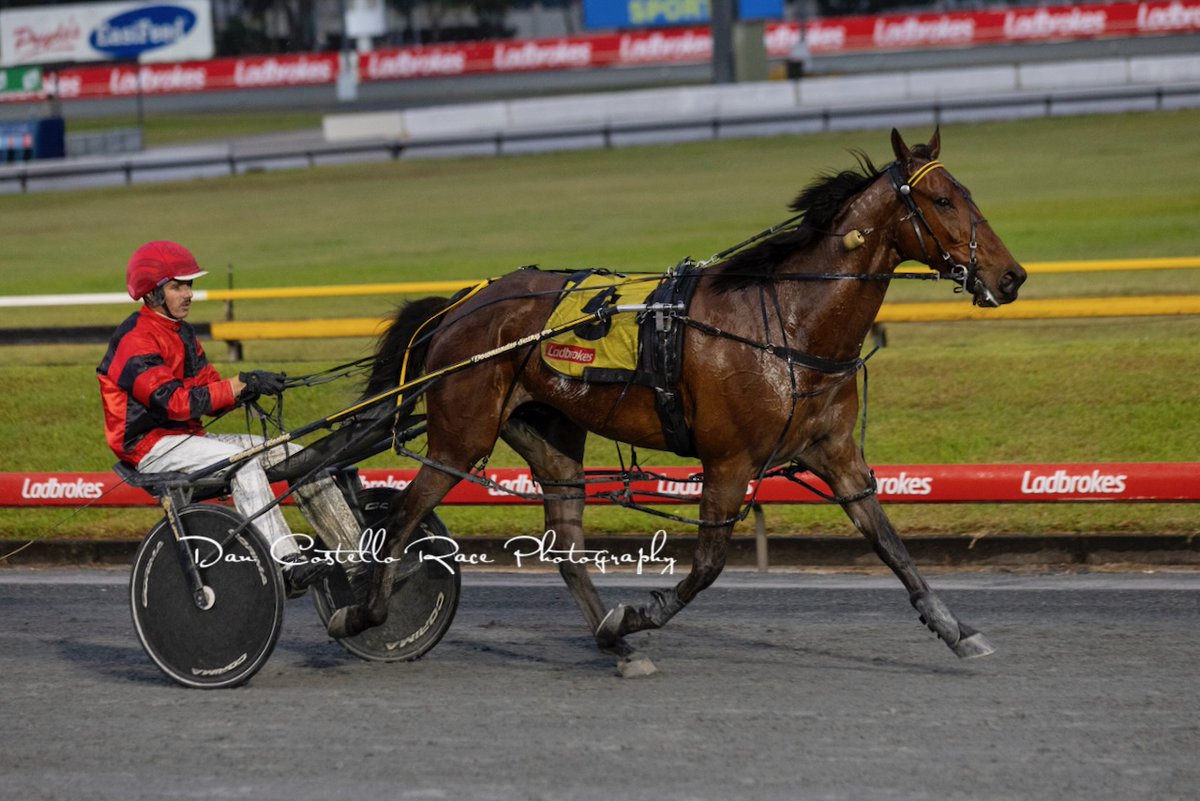 NSW visitors take out race 8 <a href="/TheCreekAlbion/">The Creek</a> with Laceys Lad winning with Tom Callaghan for trainer Mark Callaghan