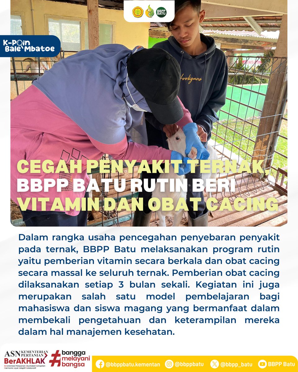 bbpp_batu's tweet photo. Sebagai upaya pencegahan penyebaran penyakit pada ternak, BBPP Batu berikan vitamin dan obat cacing untuk seluruh ternak. Yuk simak informasinya๐
_____
#BBPPBatu #BPPSDMP
#KementerianPertanian https://t.co/JryYIr74o8