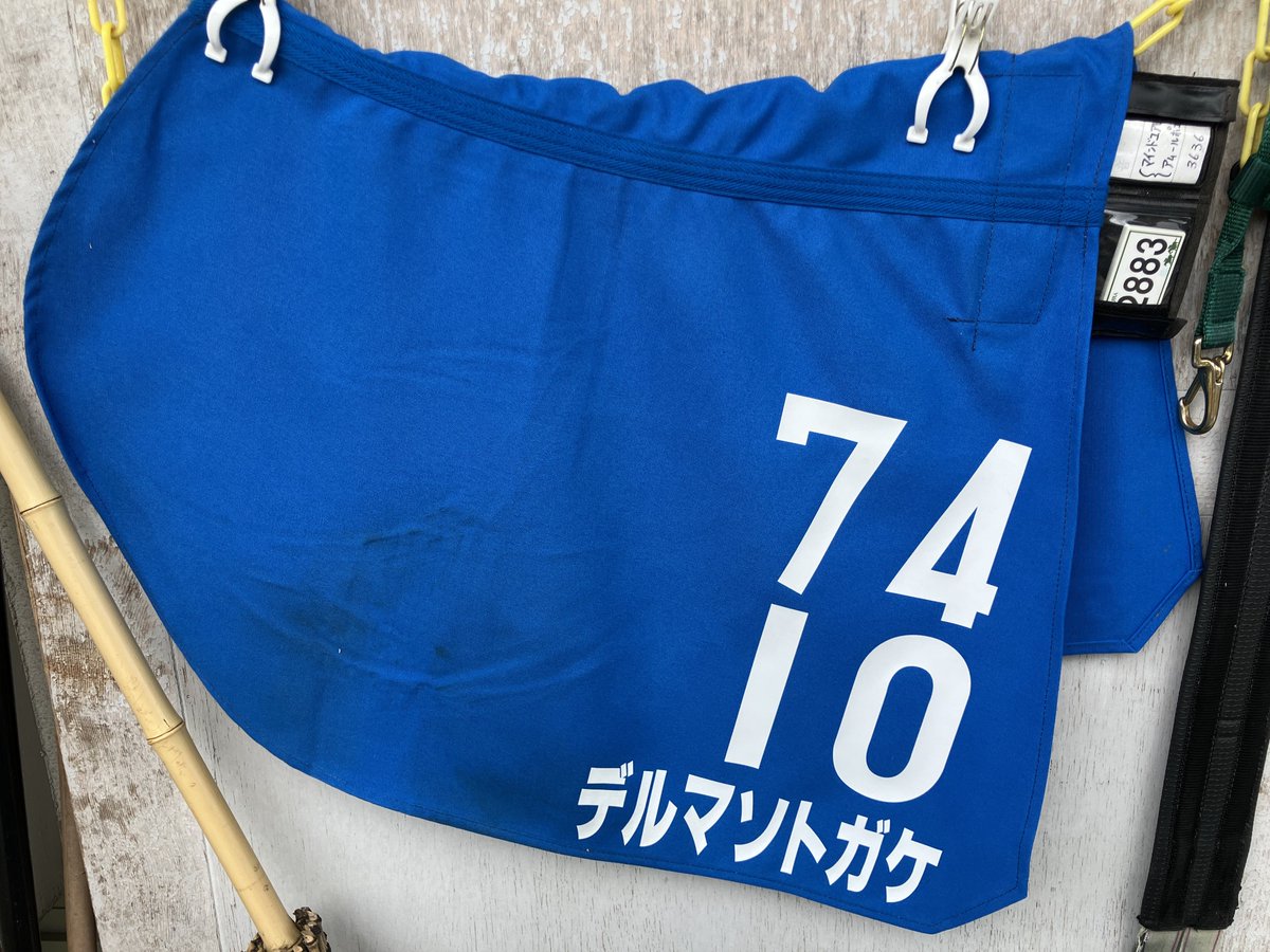 gendai_keiba's tweet image. 本日の一枚。
中の馬房に──。
#デルマソトガケ
#ＢＣクラシック