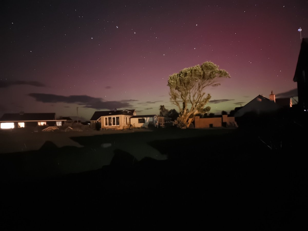 Jeanne Spillane tweet media