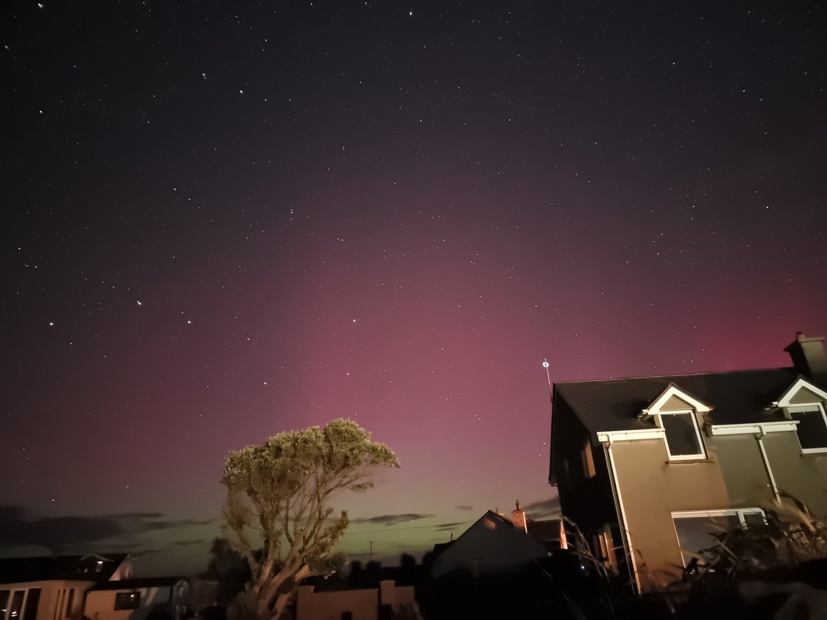 Jeanne Spillane tweet media