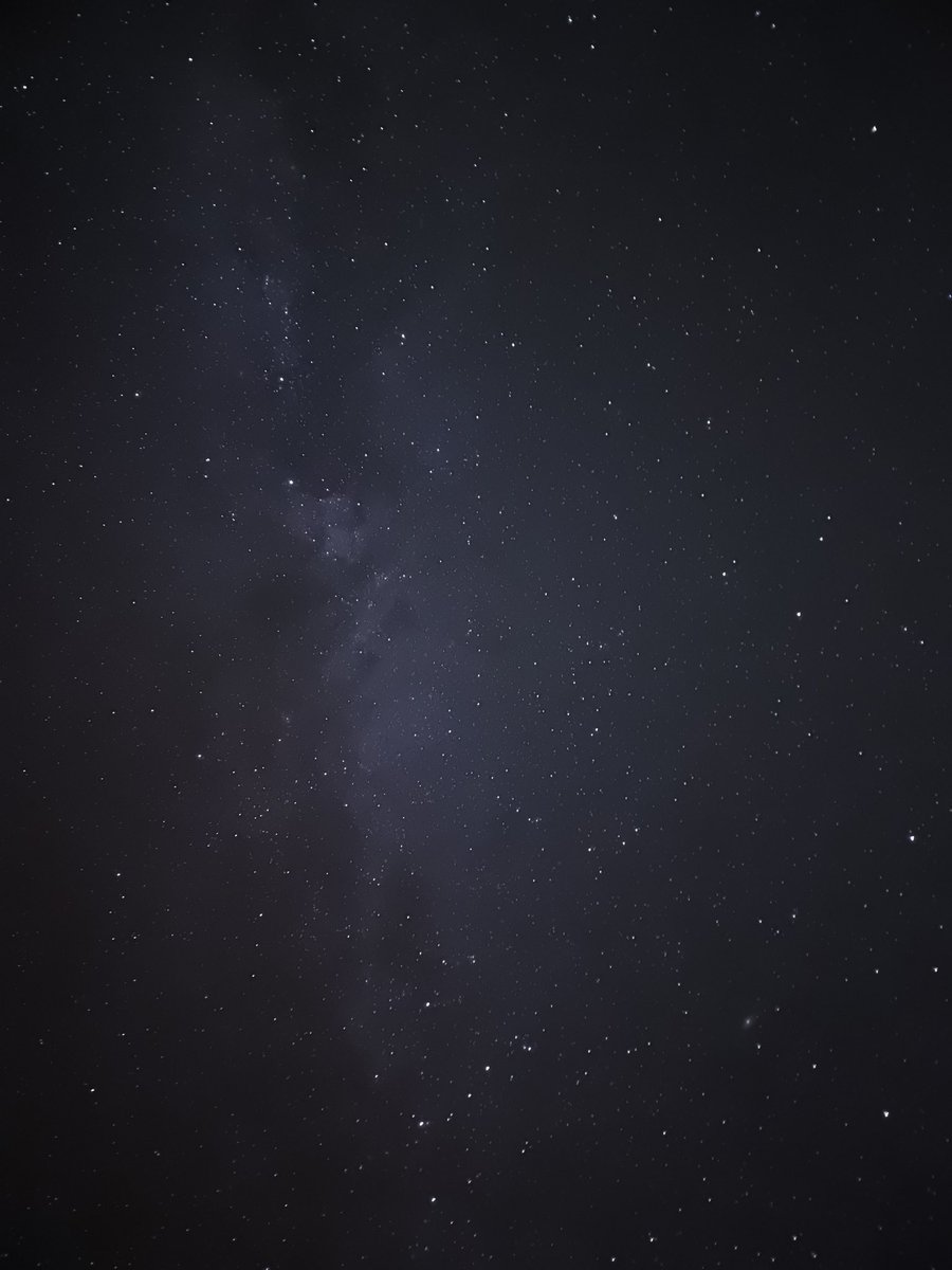 Jeanne Spillane tweet media