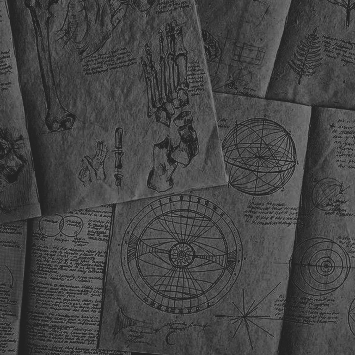 𖡨 (@caroetmetalli) on Twitter photo 