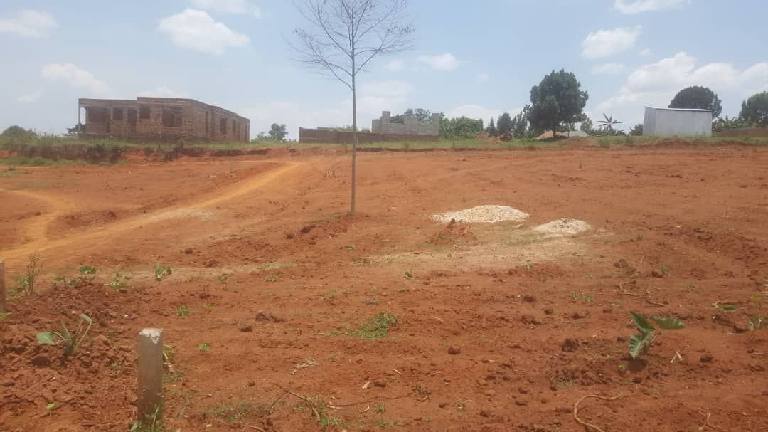 RealEstateUG1's tweet photo. Kiwenda Nabitalo estate, 50x100 ft selling at 32m 
Get InTouch now : 0742914650 https://t.co/lkggqKHqyN
