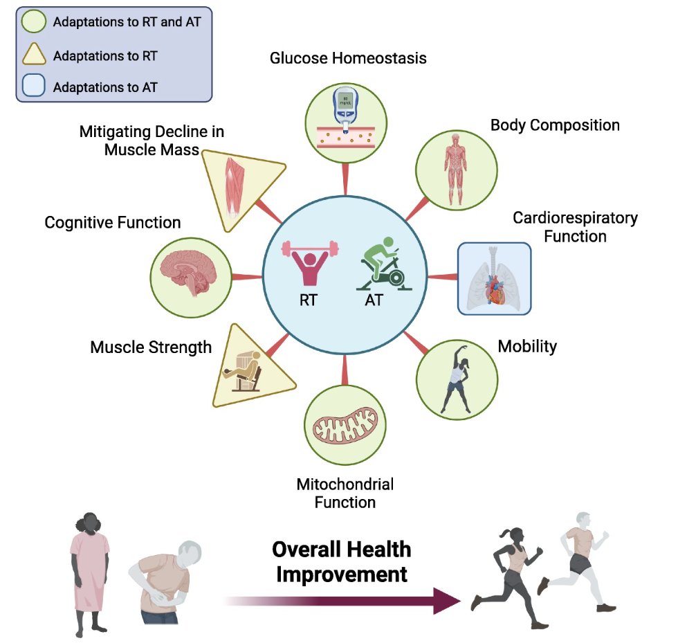 jacksonfyfe's tweet image. The “best” exercise for health:

Any type you enjoy.

Despite common belief, the benefits of aerobic and resistance training are more similar than different.

It’s best to do both, but either provides more benefits than many expect.