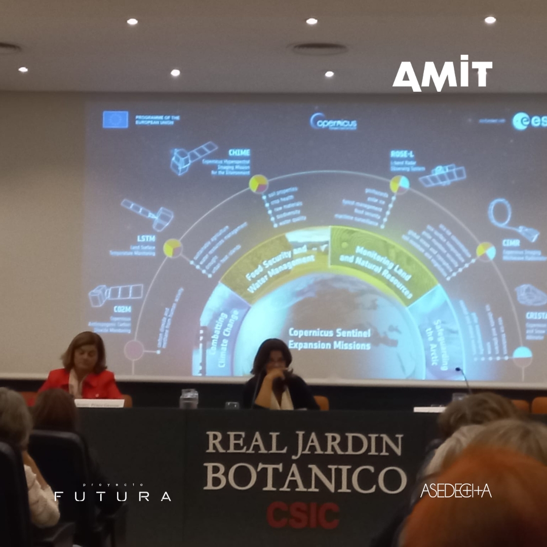 asedecia tweet media