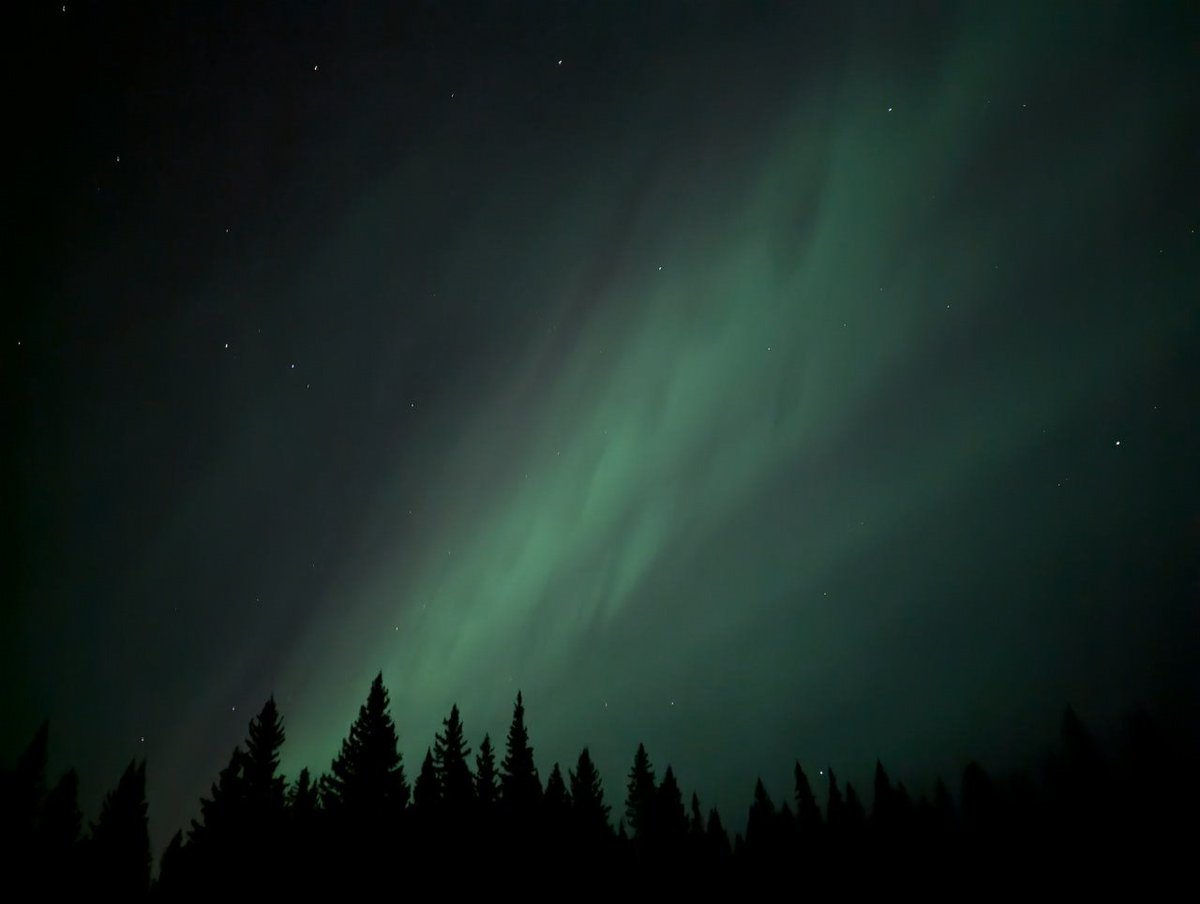 Caught a wild Aurora display this evening.

At one point it filled the whole sky..... 😍

I took all of these photos on my Pixel 7 with night mode and a 6 second exposure. Photos were taken in Bragg Creek provincial park, Alberta.