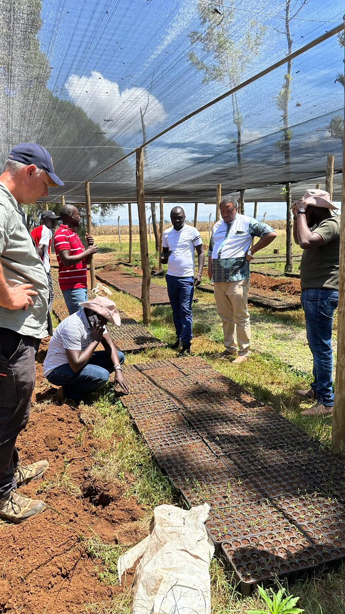 PBO_RA's tweet photo. Ag. DG and County Commissioner Uasin Gishu visited @gpi2050 project sites, where they are implementing the Regeneration Kenya Project in collaboration with @earthbanc . The Project seeks to achieve Sustainable Development Goals Number 1,2,3,5,7, 8,13 and 15. https://t.co/TzVEC49Xki