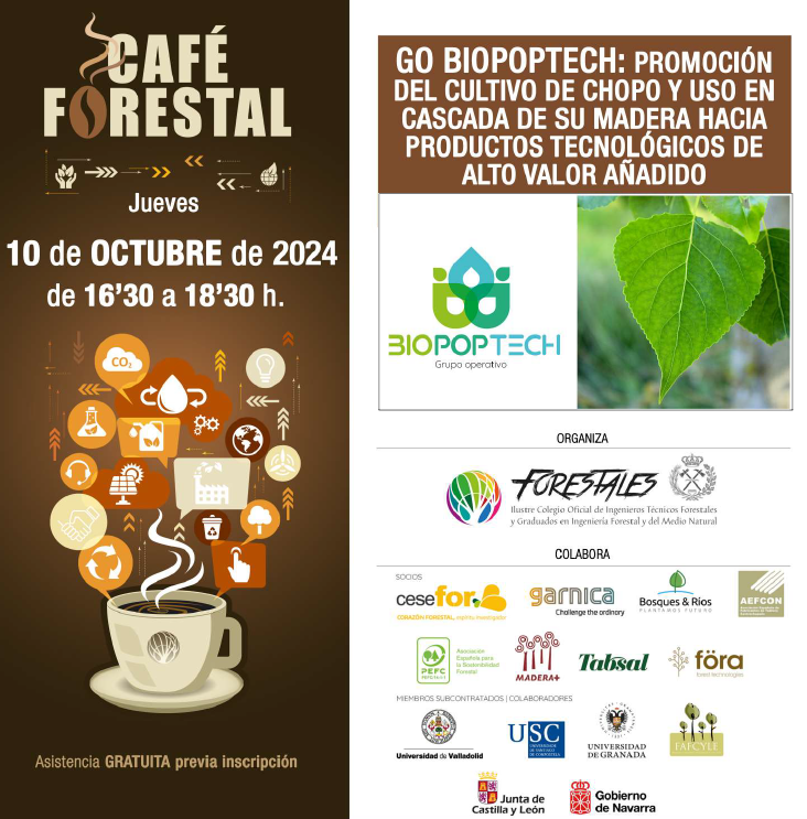 populuscyl tweet media