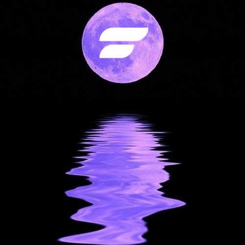 Wonder why $FI is one of the most undervalued #Crypto projects at the moment – at only 30M MC? 

Then read my below summary on $FI | <a href="/FideumHQ/">Fideum</a> which highlights their upcoming EVM compatibility and launchpad developments – ready to be deployed and bridge the gap between TradFi >