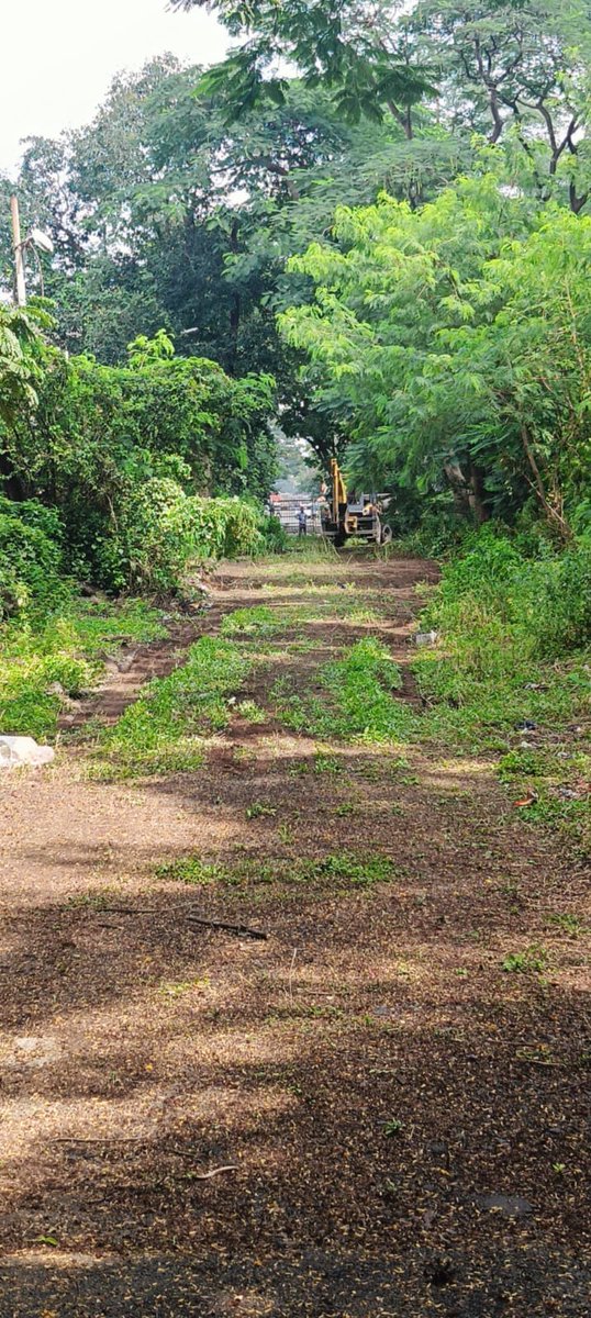 EXCISECGST's tweet image. A Cleanliness drive supported by IMC was conducted at the unused area of GST Bhawan, Manik Bagh Palace, Indore as part of &apos;Space Management&apos; Drive. The place is now being used as parking space for vehicles.
#swachhtahiseva2024 
@cbic_india 
@cgstbhopalzone 
@SwachhIndore