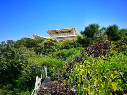 Zhou_jinfeng's tweet photo. @CBCGDF_China welcomes a new Eco-Site, the Beijing Miyun Biodiversity Observation Base
#biodiversity #ecosite
https://t.co/5Kt5ZlVGnz https://t.co/znCEU27aRi