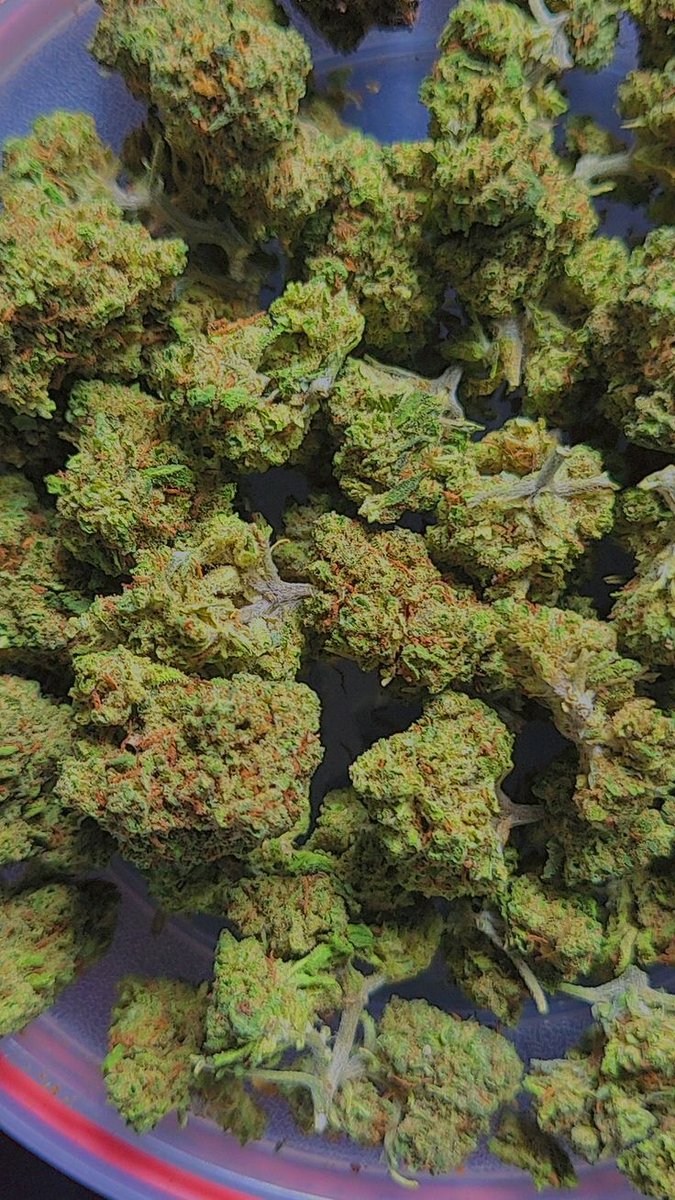 ExoticsGen's tweet image. What do you think it will take to make canabis fully federal legal?