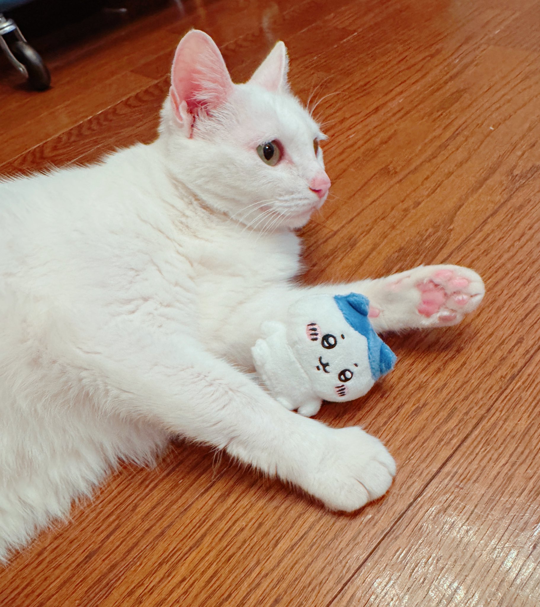 はくとん様❤️おまとめ専用ページです。2/25まで♡ JPGOODBUY 公式アカウント 05様 専用ページ - メルカリ