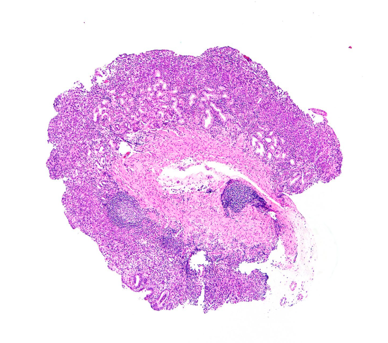 Gunt A.B tweet media