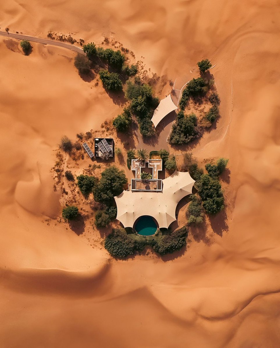 Visit Dubai tweet media