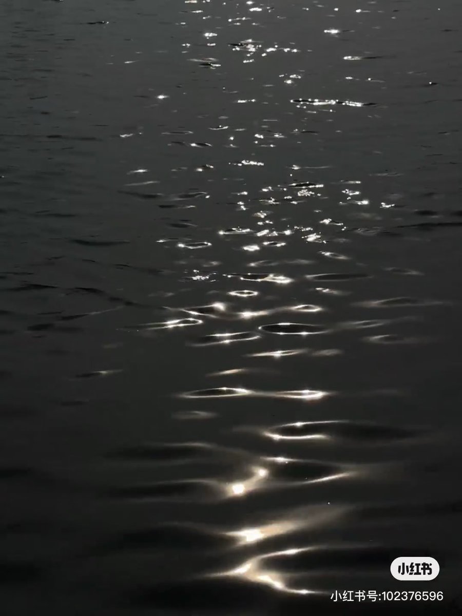 stella 🕊️ tweet media