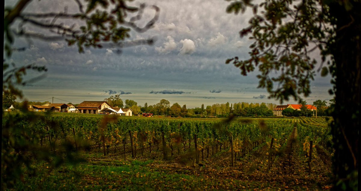 « Retirée à quelques encablures du village de Martillac, dominant le vignoble alentour, la sobre architecture du monastère de la Sainte Famille et de ses bâtiments annexes prend place dans un vaste parc dont les tonalités se perdent dans le silence… »