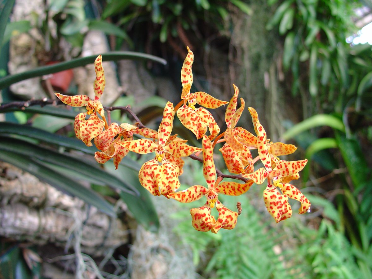 Tony Drew tweet media