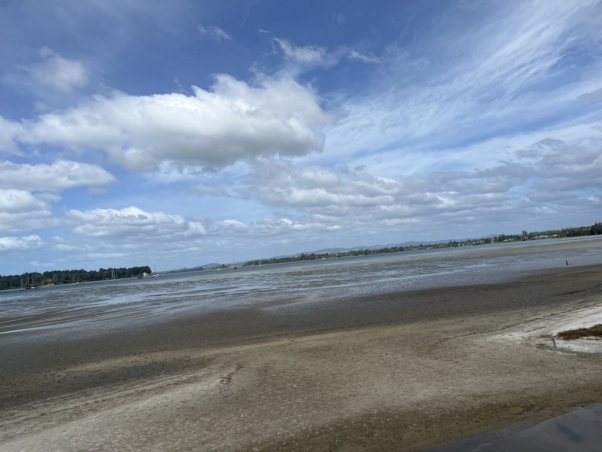 Jess Archer tweet media