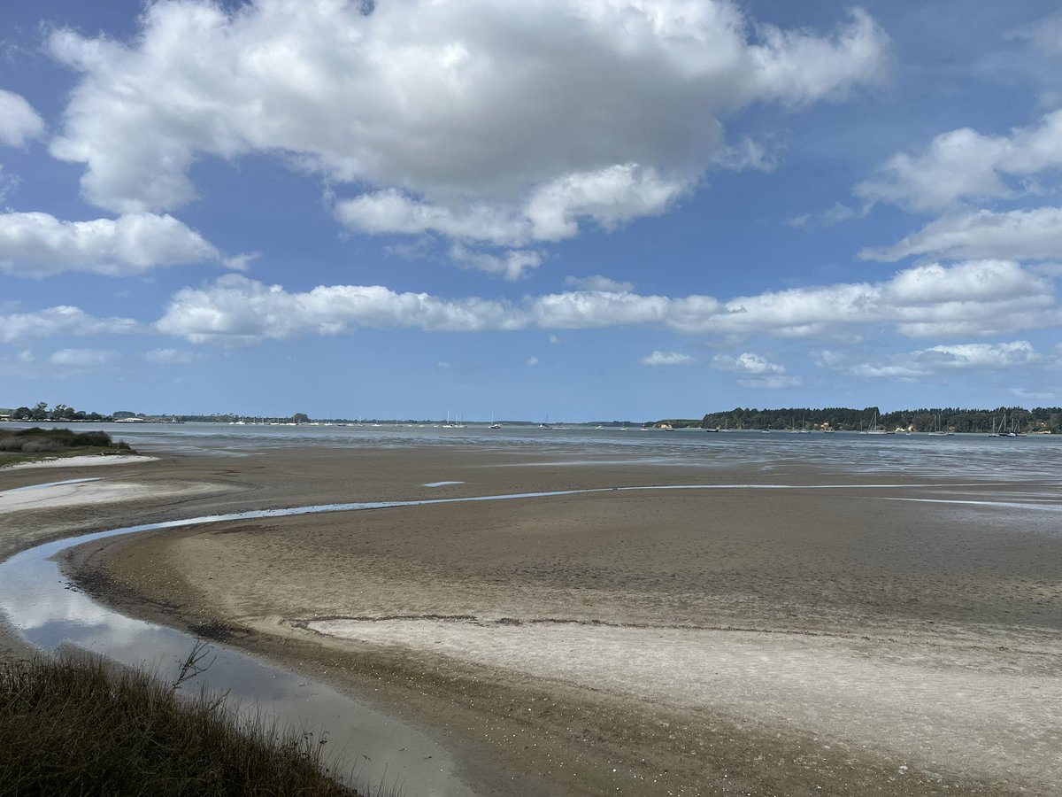 Jess Archer tweet media