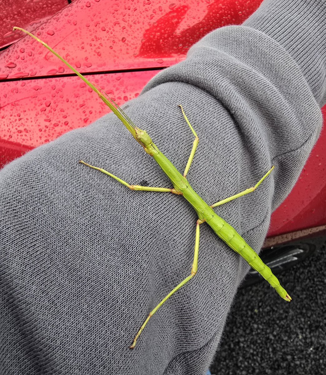 Darren Strick 〓〓 📸 tweet media