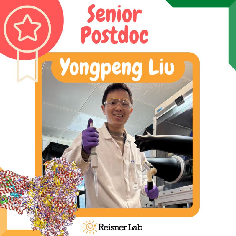 Reisner Lab (@reisnerlab) on Twitter photo .<a href="/YongpengLiu/">Yongpeng Liu</a> promoted to Senior #Postdoc in our lab! Now mastering many enzymatic maschineries, he will oversee our efforts to expand photoelectrochemical #enzyme hybrids ⚡️📷 .<a href="/YongpengLiu/">Yongpeng Liu</a> promoted to Senior #Postdoc in our lab! Now mastering many enzymatic maschineries, he will oversee our efforts to expand photoelectrochemical #enzyme hybrids ⚡️📷