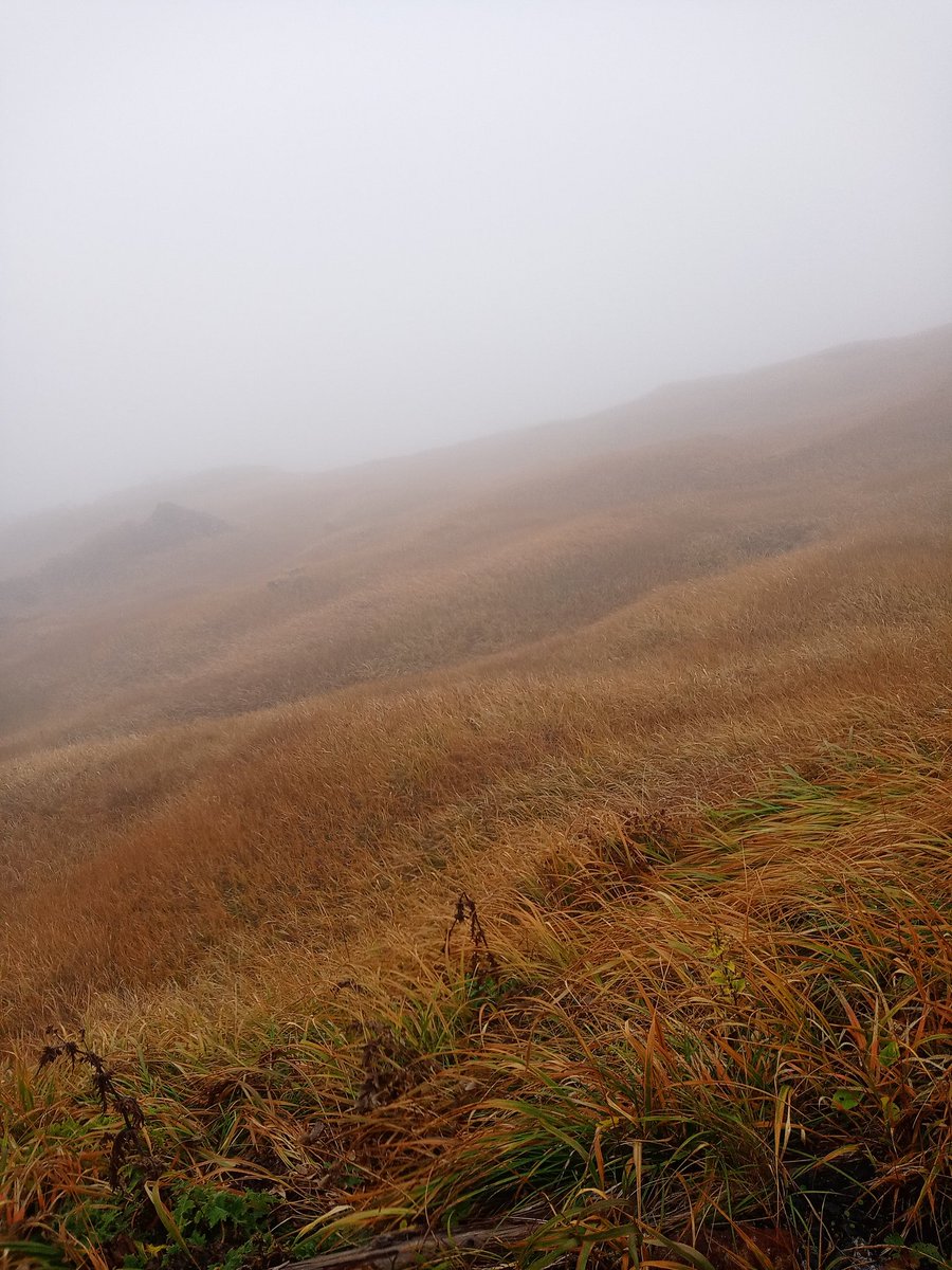 森林限界まで来た