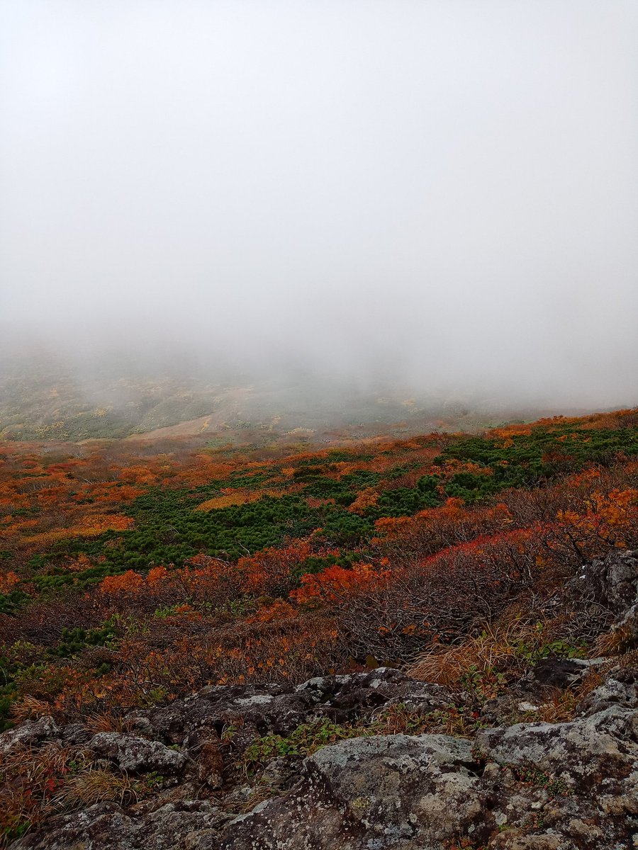 神の絨毯凄かったよ