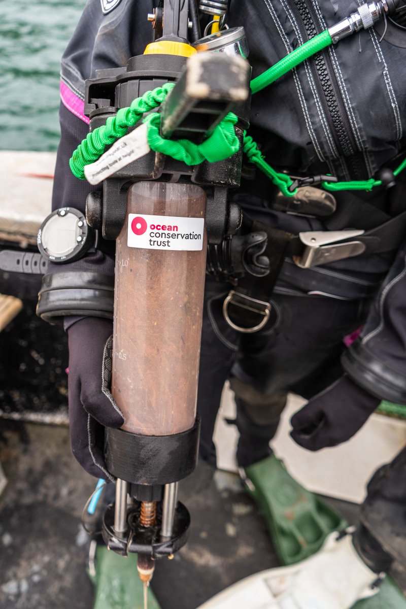 OceanCTrust's tweet image. We’re excited to unveil HMS OCToPUS, our innovative purpose-built deployment device for seagrass restoration!  🌱

Find out what we have achieved so far and what this means for the future of seagrass restoration on our blog: bit.ly/HMS-OCT