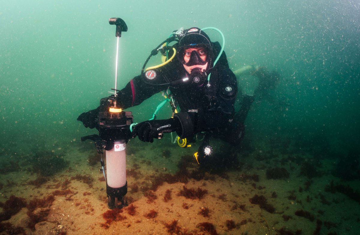 OceanCTrust's tweet image. We’re excited to unveil HMS OCToPUS, our innovative purpose-built deployment device for seagrass restoration!  🌱

Find out what we have achieved so far and what this means for the future of seagrass restoration on our blog: bit.ly/HMS-OCT