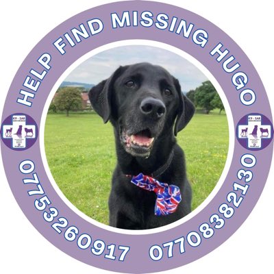 MissingPetsGB's tweet image. 🐕 HUGO IS AN ELDERLY BOY WHO NEEDS OUR HELP TO GET HOME
His family are extremely worried now. Has he been picked up &amp;amp; not handed in🤔 
Lost since 11/9/24 BRAMLEY PARK #Leeds #LS13
#LabradorRetriever CHIPPED
HUGO CANT USUALLY MANAGE LONG WALKS - he’s 13 years old #helpusfindhugo