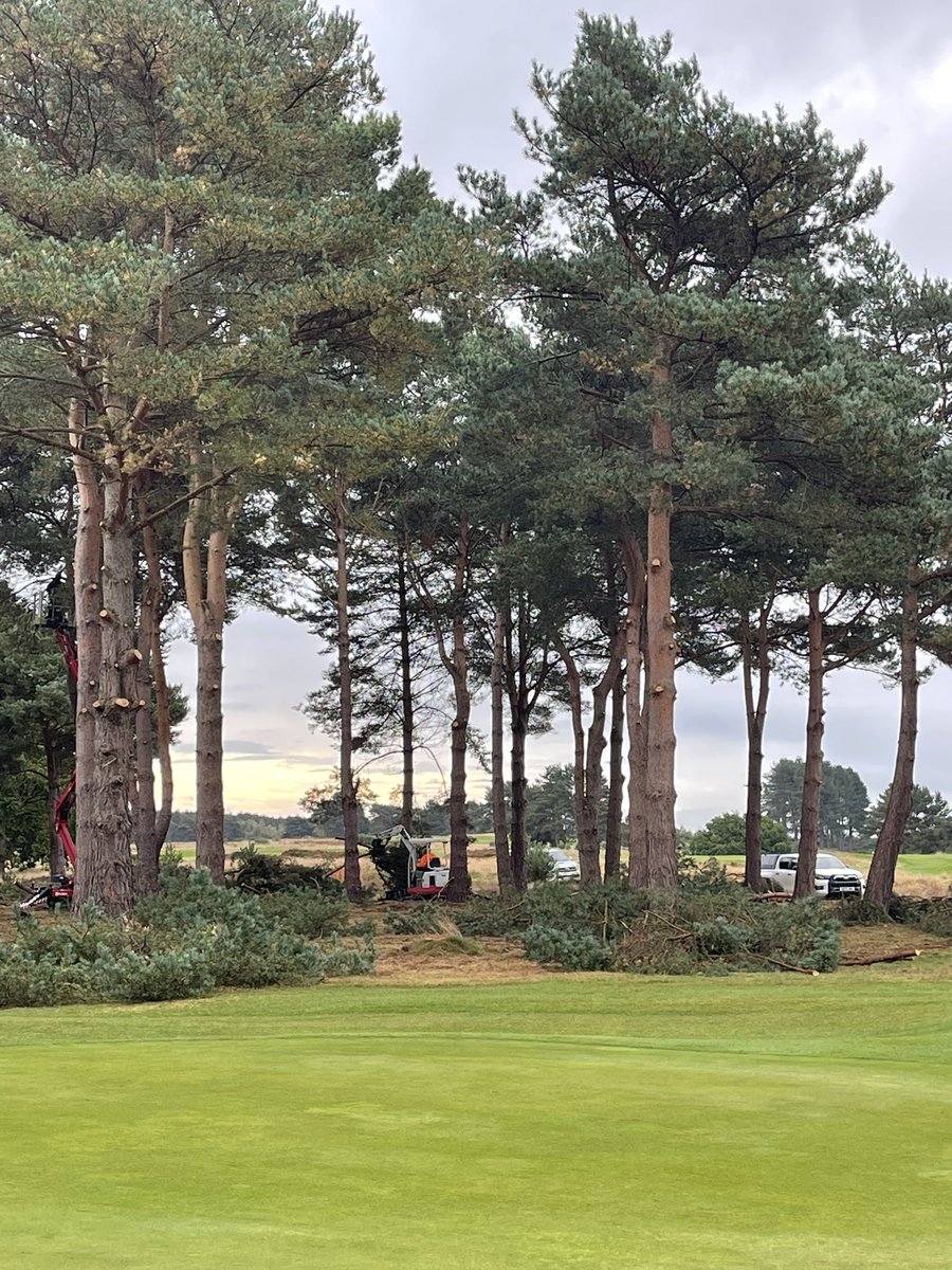 Got the big toys out this week lifting bottom branches on 8/10th pines.