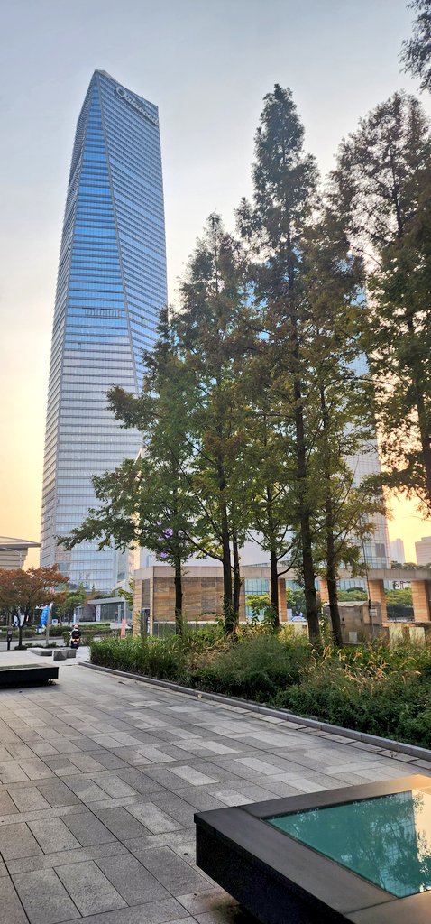 Kelly Lepley ✈🌍👩‍✈️✈️👩‍👧‍👧🇺🇦 tweet media