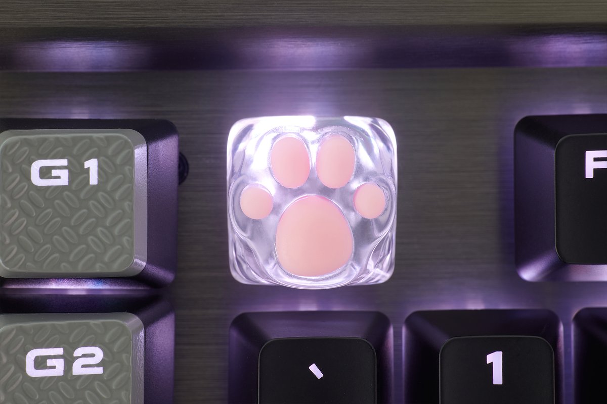 zomoplus's tweet photo. If your keyboard will glow, you must replace it with this keycap. Transparent kitty paw keycaps will make your keyboard look more dazzling and cool.
#keycap #artisankeycaps #kittypaw #kawaii #desksetup #zomoplus https://t.co/drhAR4pwAs