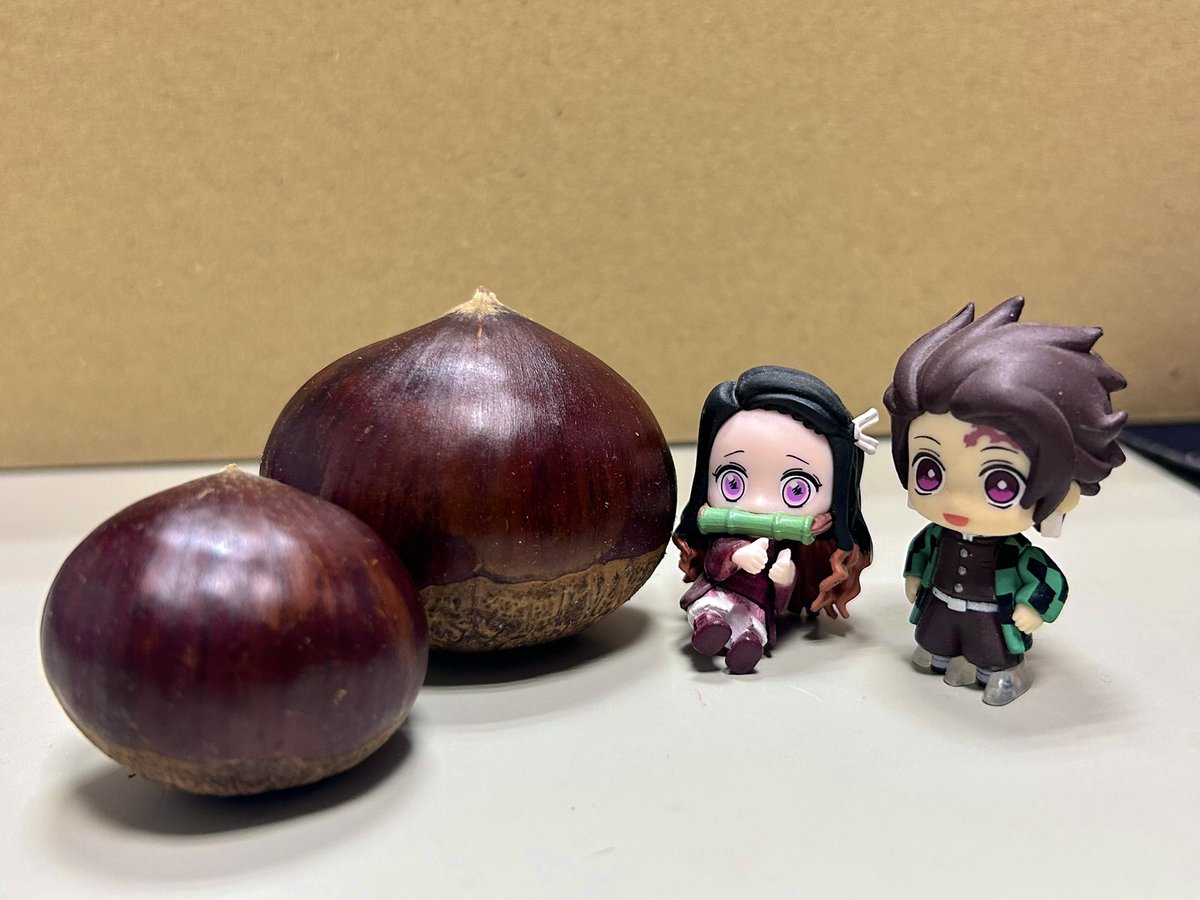 真ん中の栗がホントに大きい！伝われ…！！！🌰
