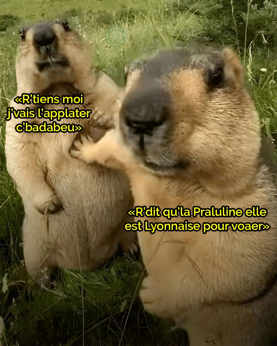 Memes Ligériens tweet media