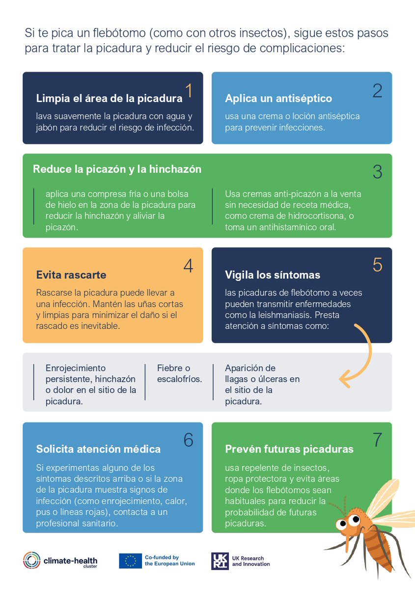 🇪🇸 Para identificar un flebótomo es necesario fijarse en varias características distintivas. Al examinarlas, se pueden distinguir los flebótomos de otros insectos pequeños. 

Reconócelos a tiempo así como sus picaduras para reducir el riesgo de complicaciones.